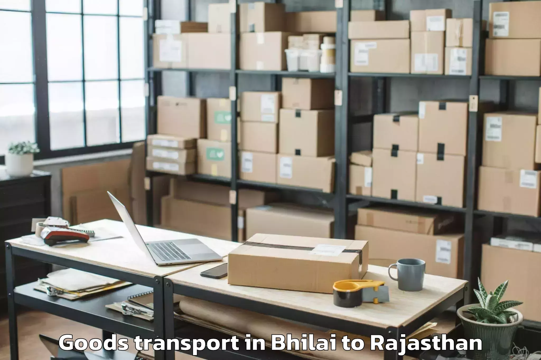 Top Bhilai to Jhadol Goods Transport Available